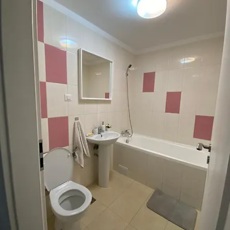 Zian Flat Apartment Bucharest